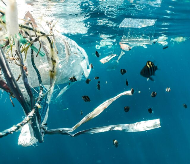 Fun Facts about Plastic Pollution | Recyclean Foundation